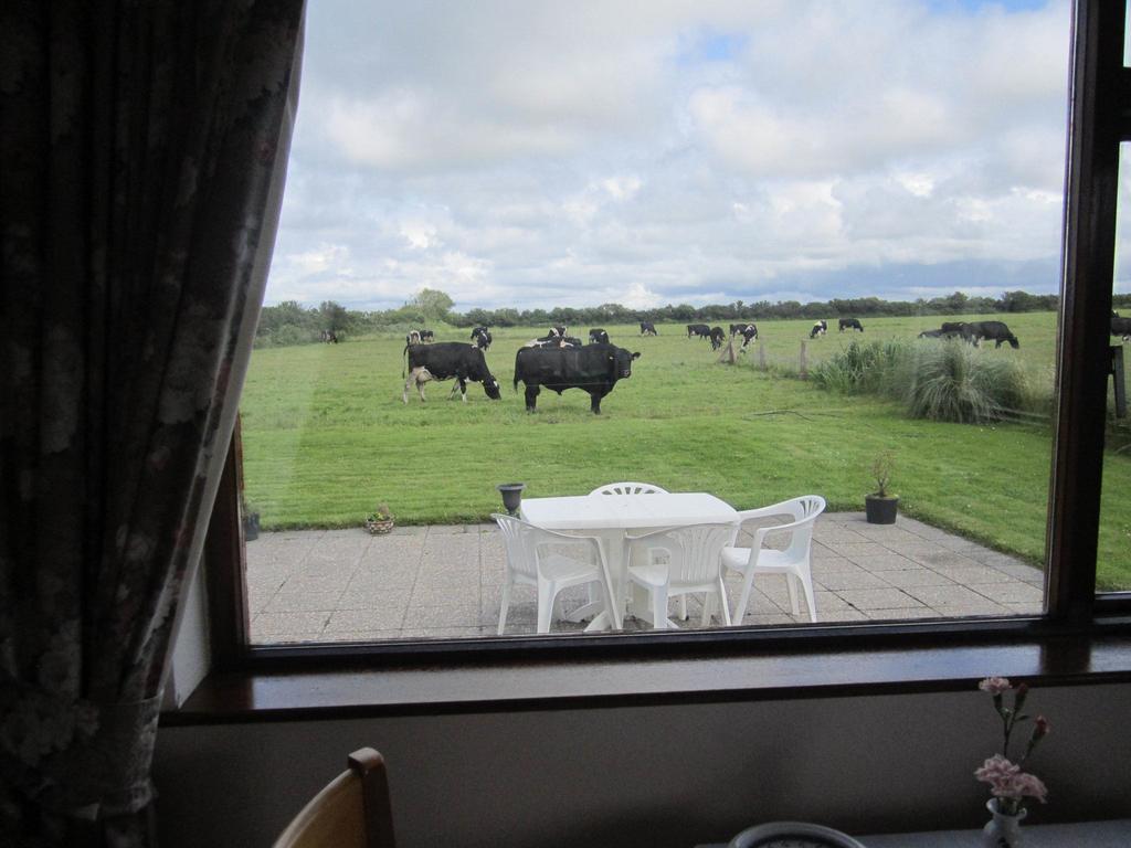 Greenfields Farmhouse Villa Ballylongford Ruang foto